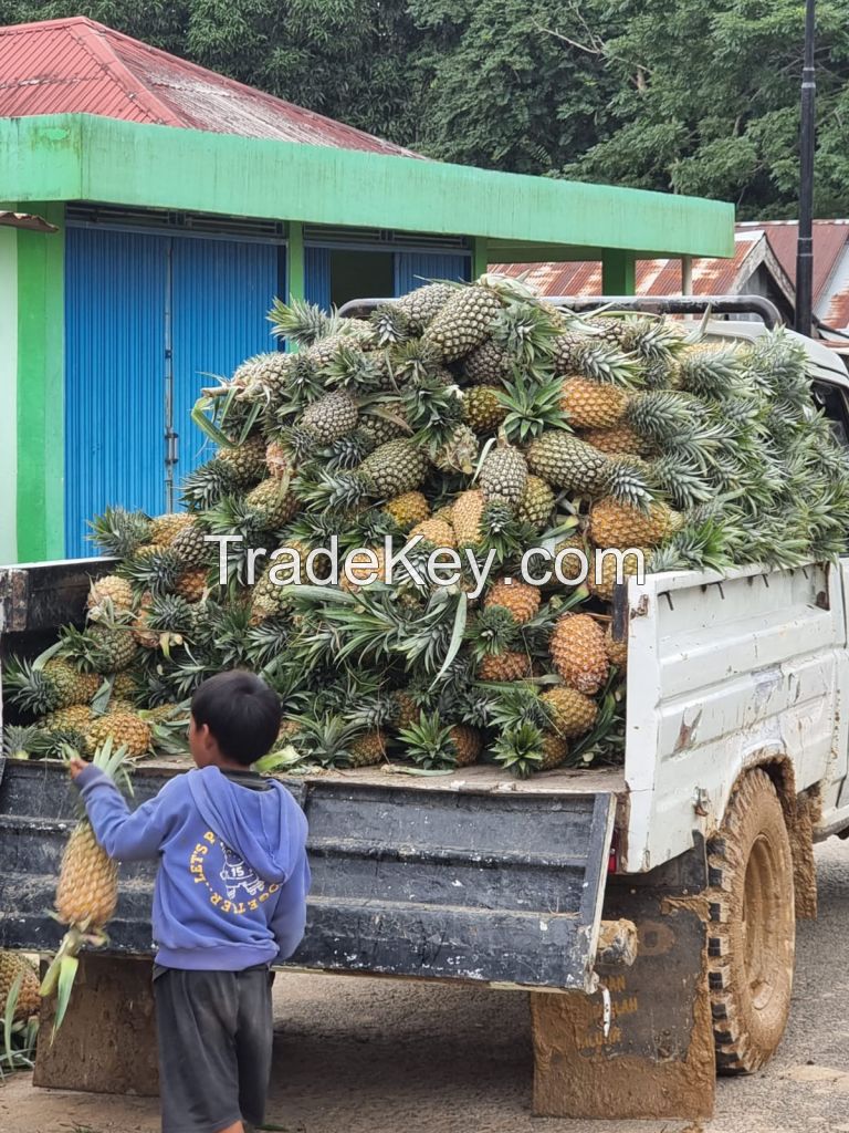 Fresh Pineapple