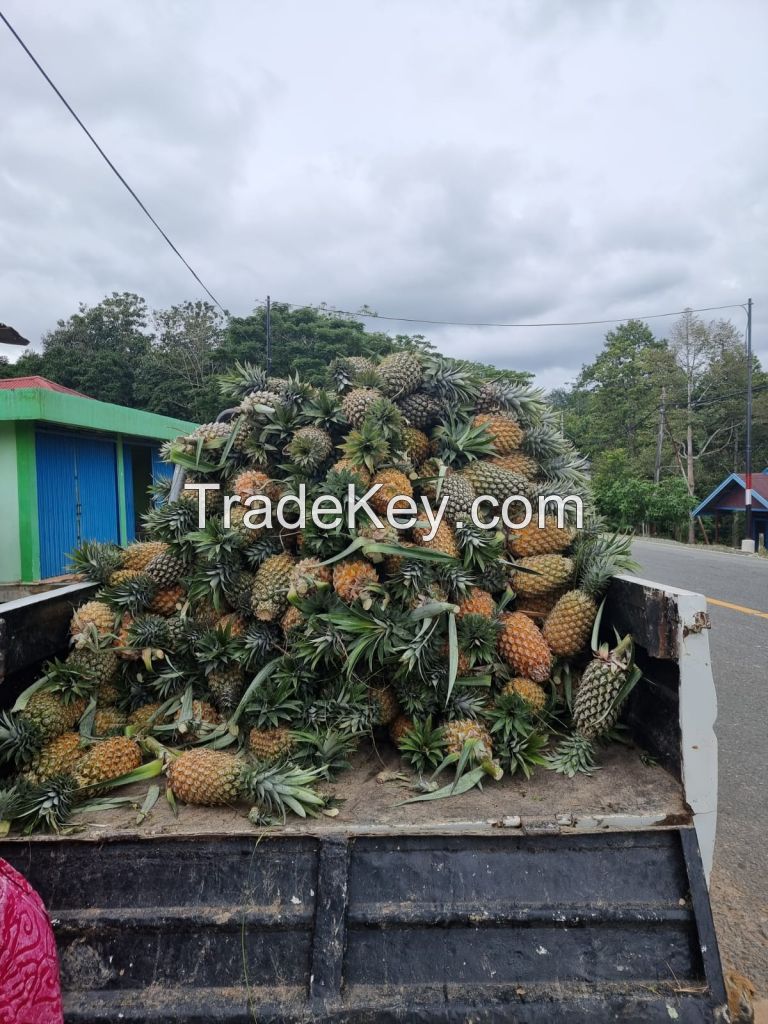 Kalimantan Fresh Pineapple