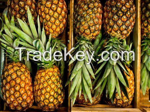 Sweet Fresh Pineapple