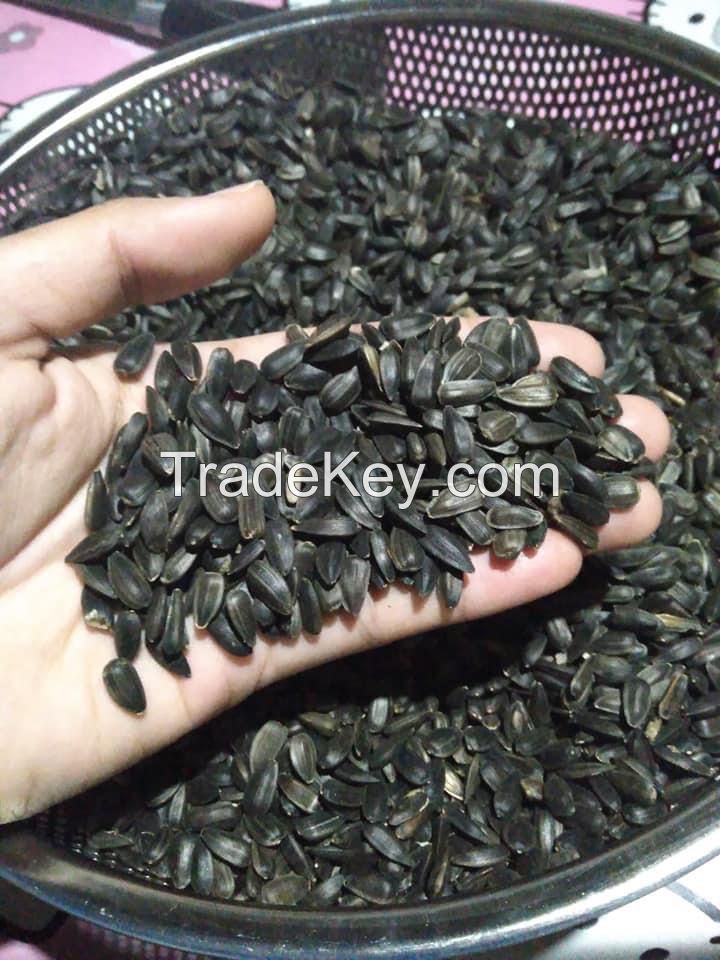 Best Sunflower Seeds Wholesale