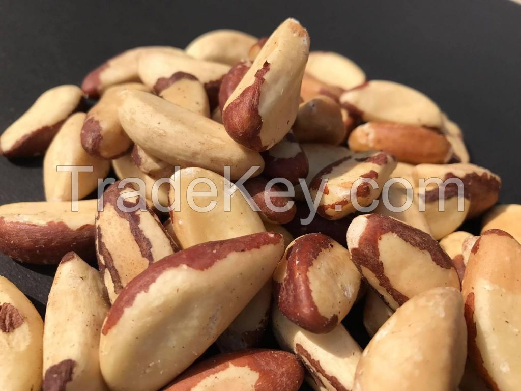 Best Buy Brazil Nuts Wholesale