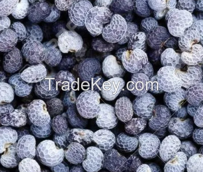 Cheap Blue Poppy Seeds Wholesale