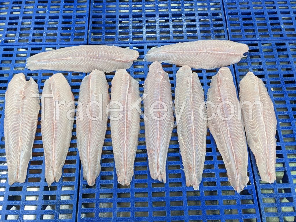 Pangasius Fillet Well-trimmed