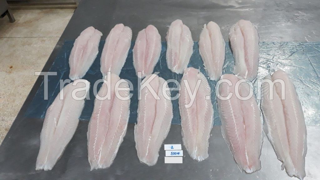 Pangasius Fillet Well-trimmed Skin off