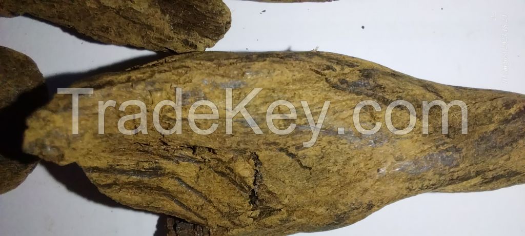 Agarwood