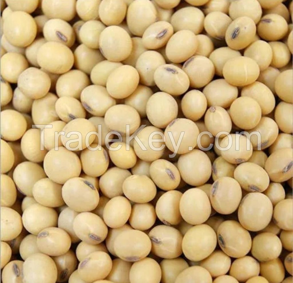 SOYABEANS