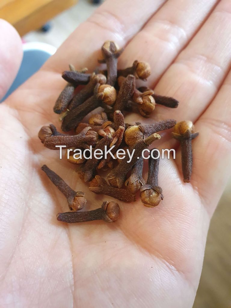 Cloves