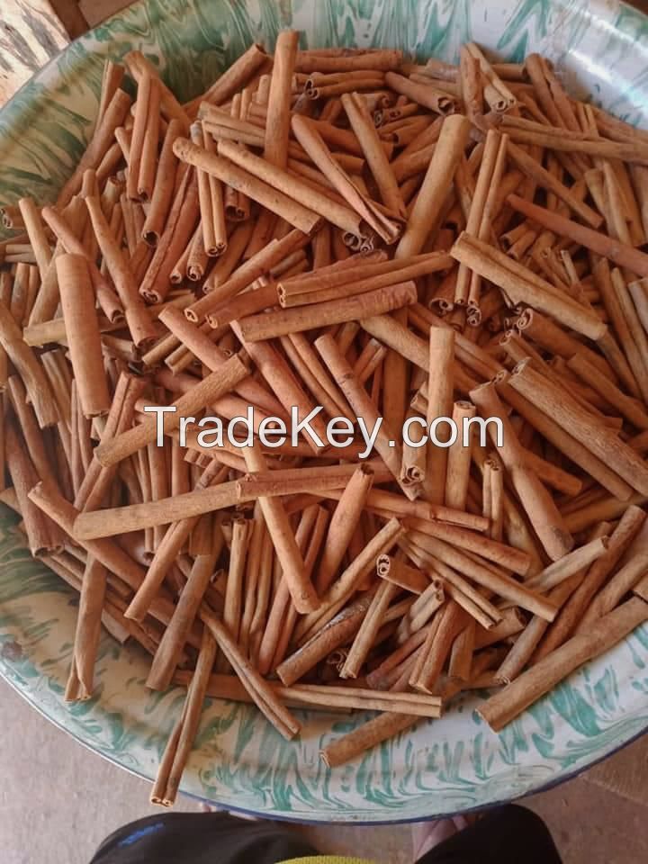 Cassia Cinnamon