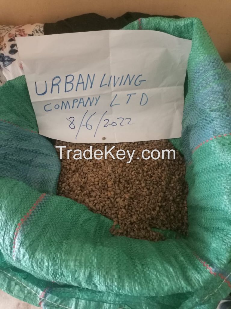Arabic Green coffee from Uganda Available in bulk for worldwide shipping