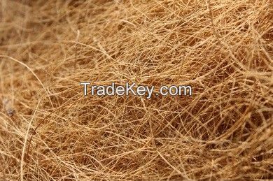Coconut fiber
