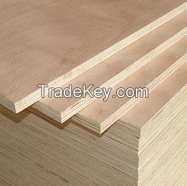 Polished plywood