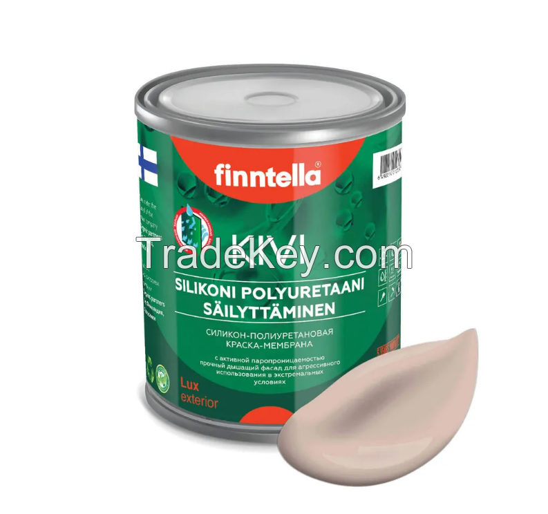 Paint Finntella Kivi