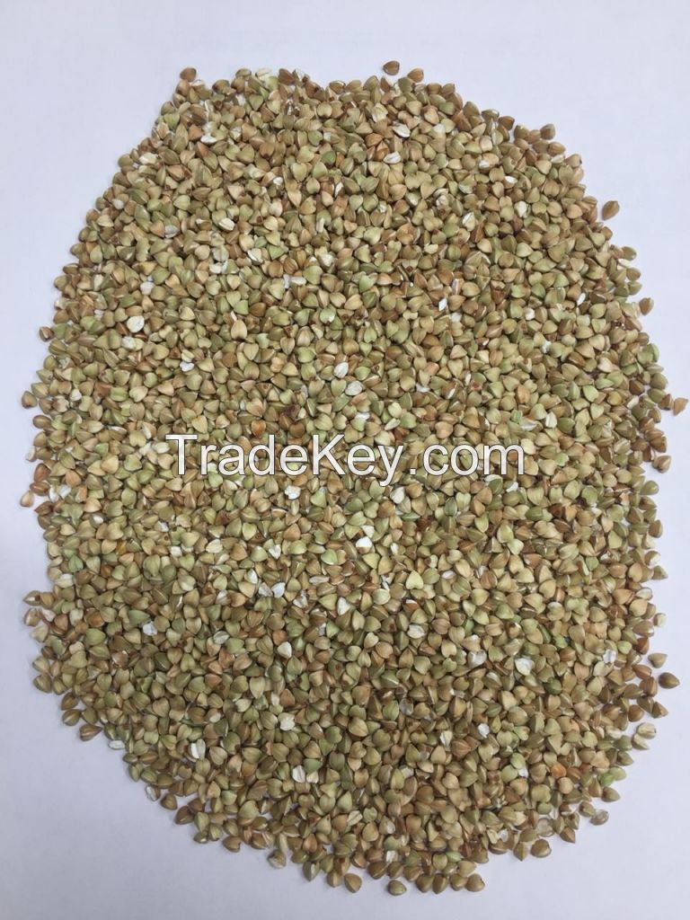 Green Buckwheat Grain