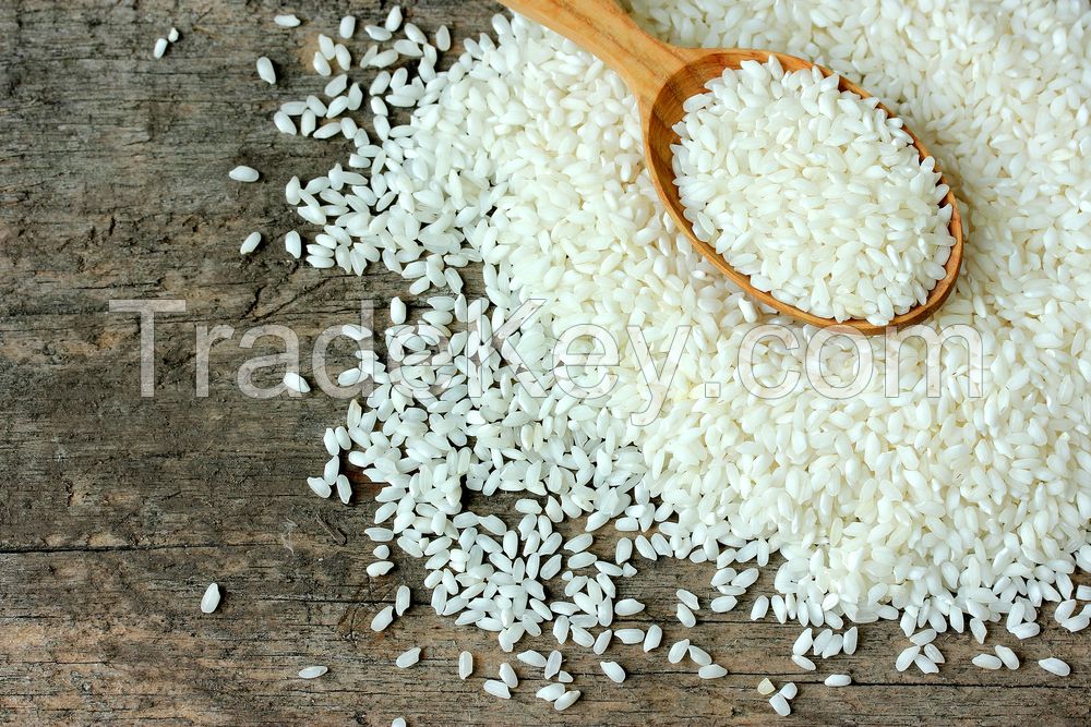 Rice