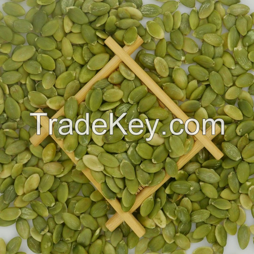Selling Wholesale  Grade AA Shine Skin Pumpkin Seeds / Pumpkin Kernels