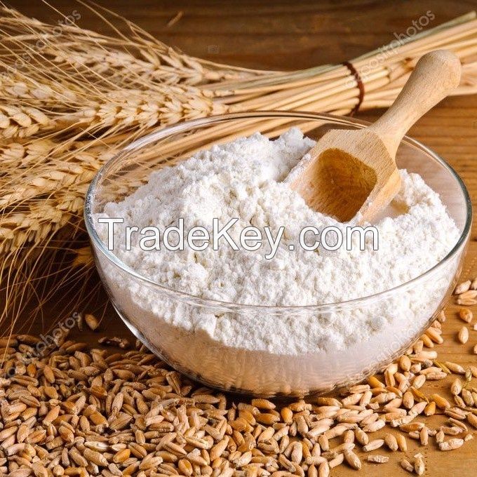 Selling  TOP GRADE All Purpose Wheat Flour / Wheat Flour for Bread