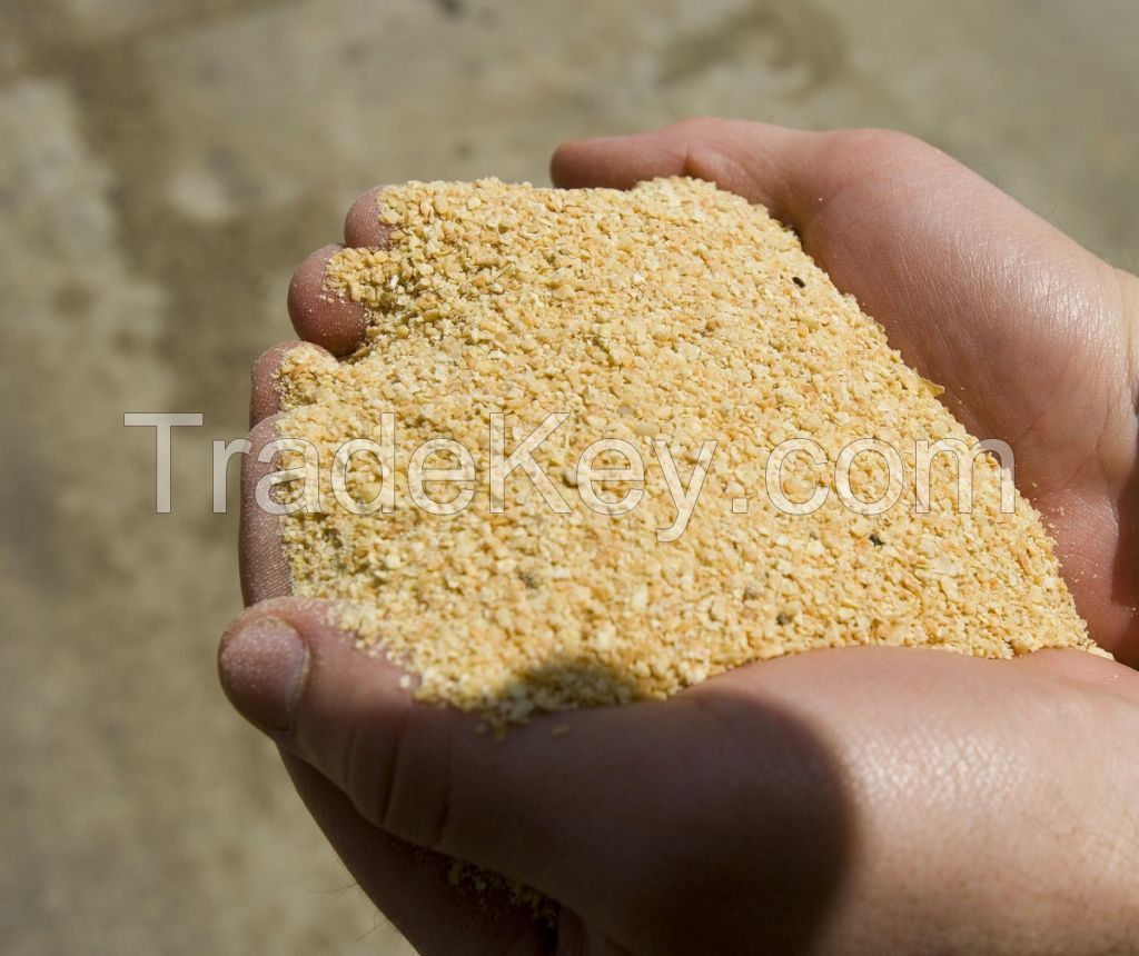 Selling High Protein Soybean Meal