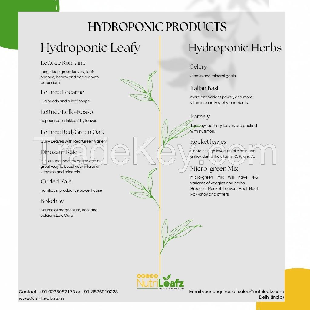 Hydroponic or Exotic Vegetables and Fruits