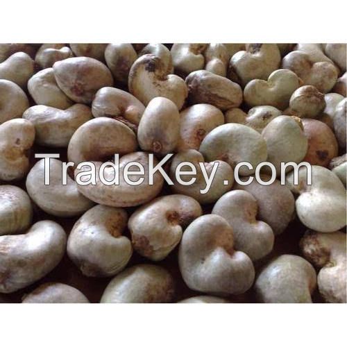 Cashew Nuts