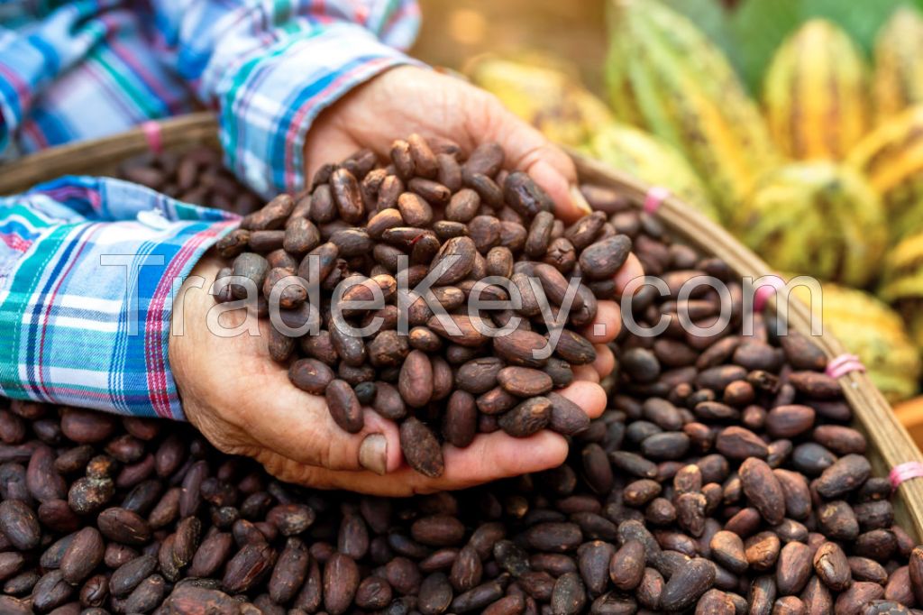 Cocoa beans