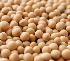 Soybeans 