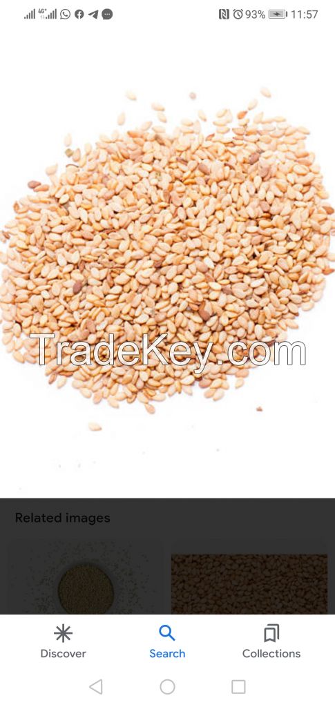 Sesame seeds