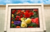 led outdoor display p14