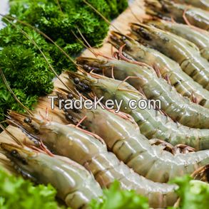 PANGASIUS, SHRIMP, VAT SEAFOOD with PREMIUM QUALITY from MEKSEA in VIETNAM