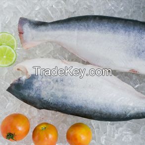 PANGASIUS, SHRIMP, VAT SEAFOOD with PREMIUM QUALITY from MEKSEA in VIETNAM