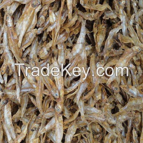 Dry fish 