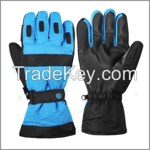 Ski Gloves