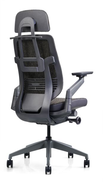 High back chair with headrest(2002B-2)
