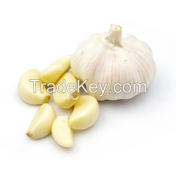  Premium Garlic, Fresh Garlic For Export 