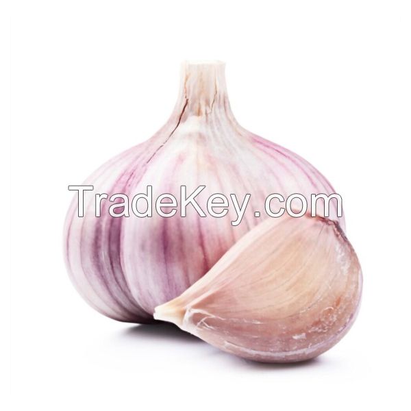 fresh garlic aioli