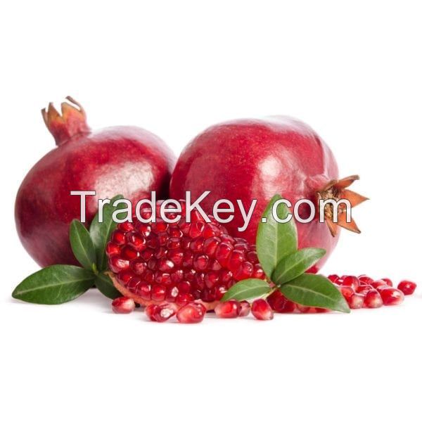 exporters of fresh pomegranates