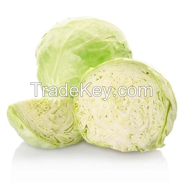 Cabbage And Fresh Tomatoes
