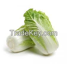 Fresh Harvest Cabbage