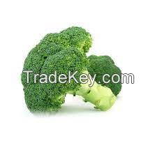 Fresh Broccoli For Sell Douala Cameroon