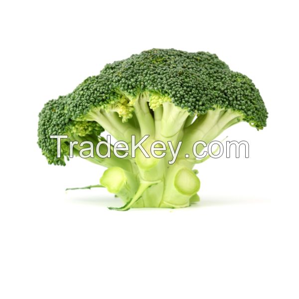 Fresh Broccoli For Sell Douala