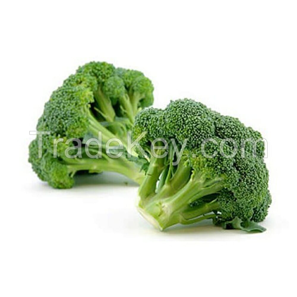 Fresh Broccoli For Sell Cameroon