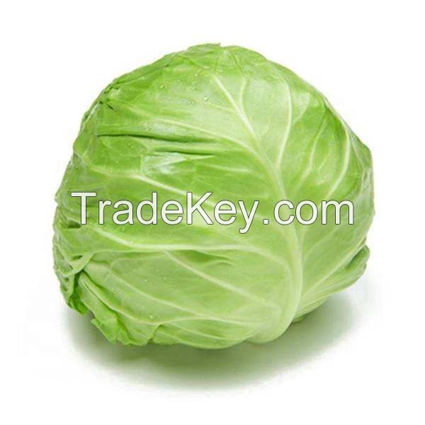 Fresh Cabbage Leaves