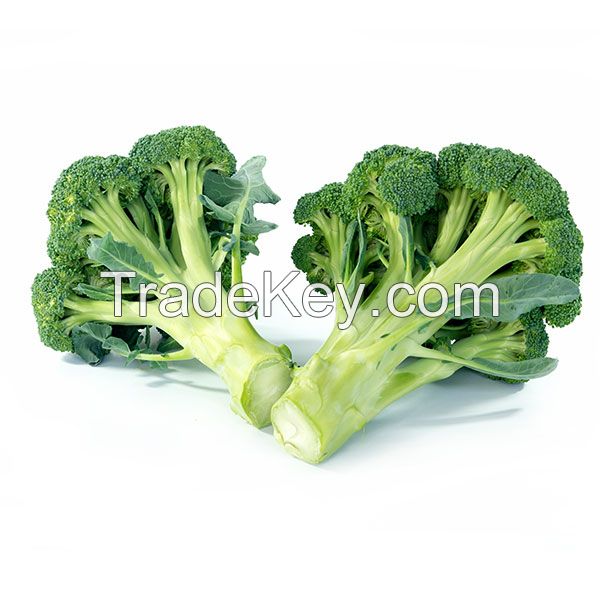 fresh broccoli for sell au