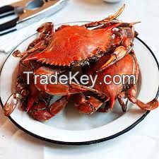 Mud Crab For Sale Perth