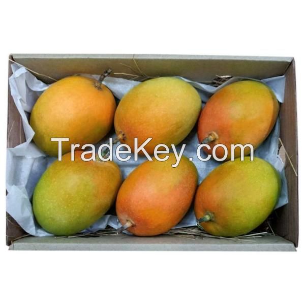 fresh mango for sell amazon