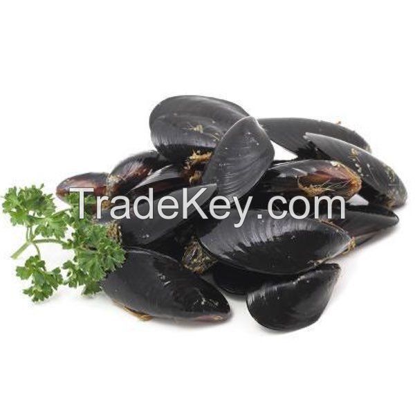 Best Mussels In Malta