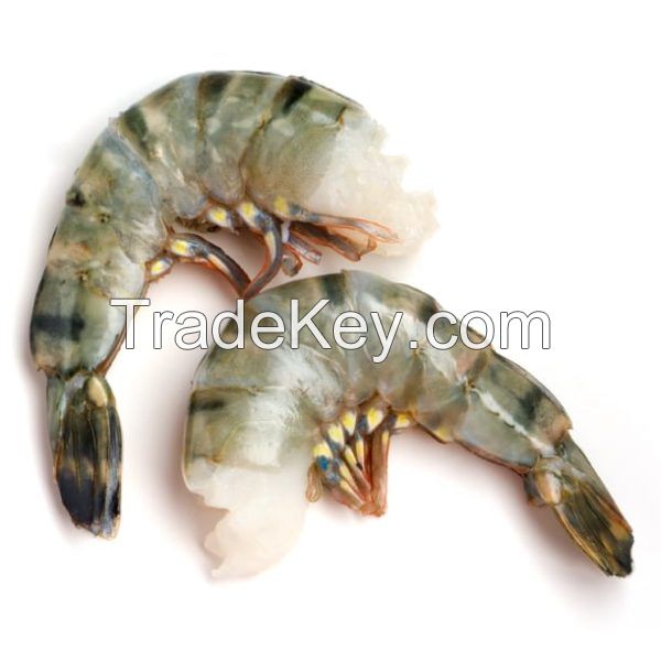 Fresh Gulf Shrimp For Sale Near Me