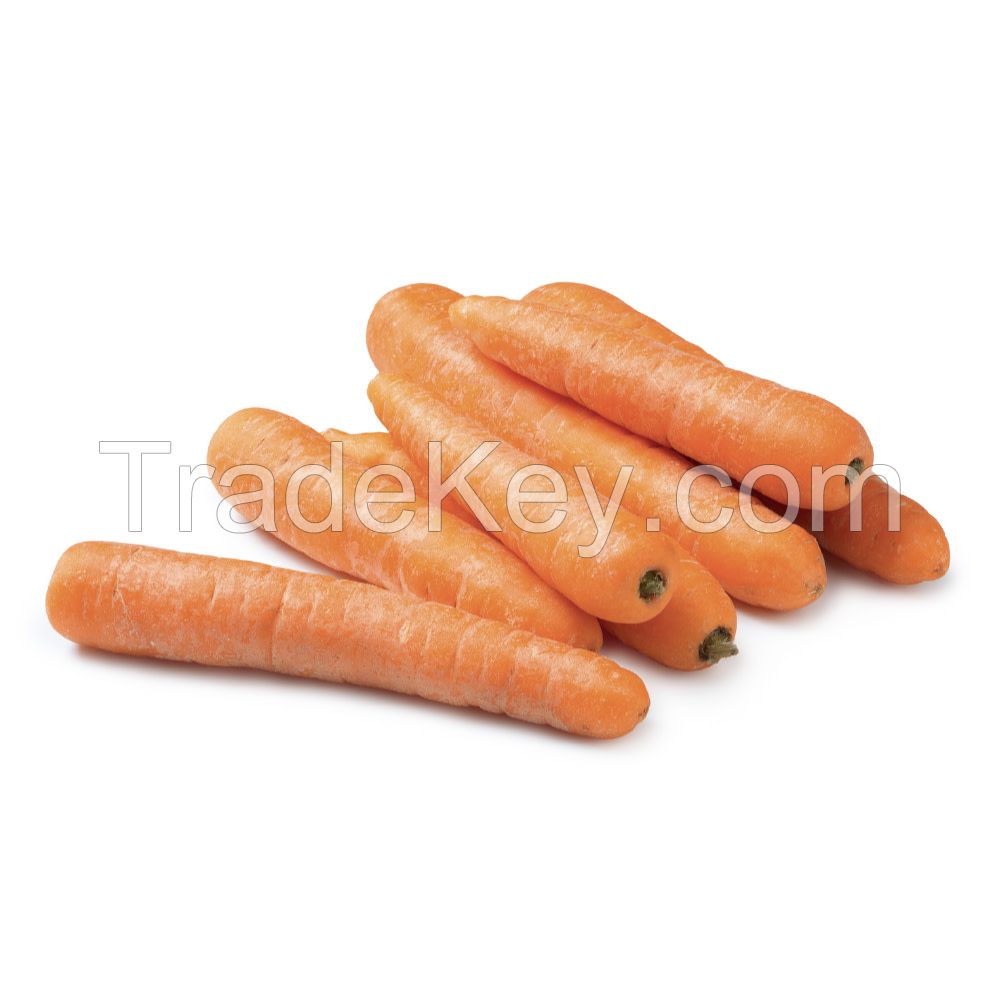 Fresh Carrots For Sale Germany