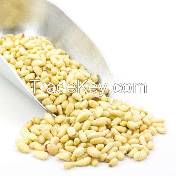 Best Pine Nuts