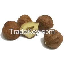Chocolate Covered Hazelnuts For Sale