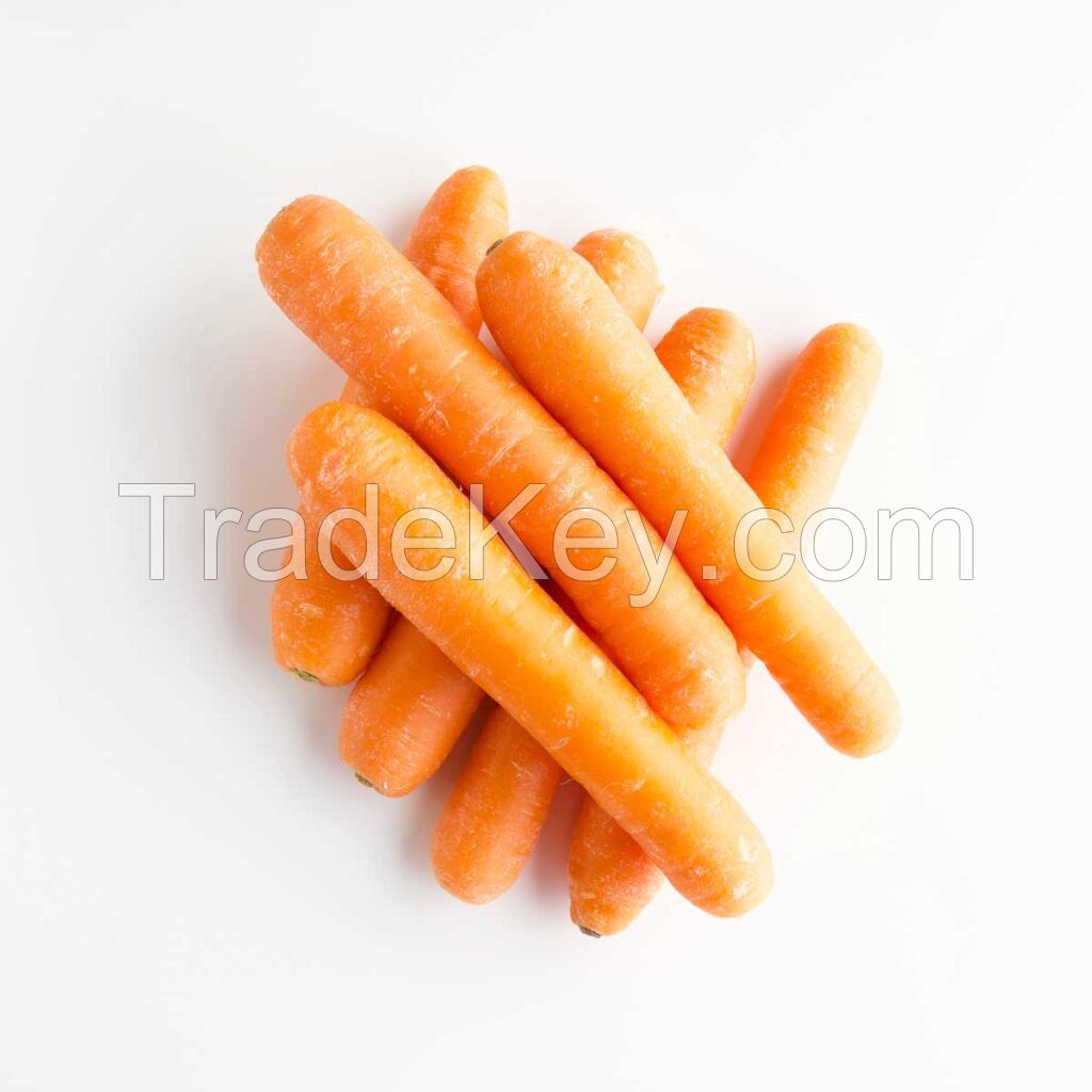 Fresh Carrots For Sale Florida